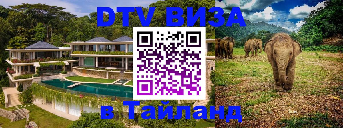 Сколько стоит DTV виза — актуальные цены, оформление даже без документов - 